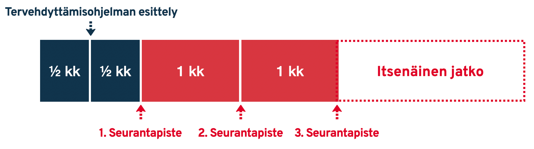 tervehdyttamisohjeman vaiheet